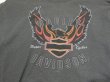 画像6: 00s Hanes HARLEY DAVIDSON FLAME FULL PRINT LONG SLEEVE L/S T-SHIRT MADE IN USA (6)